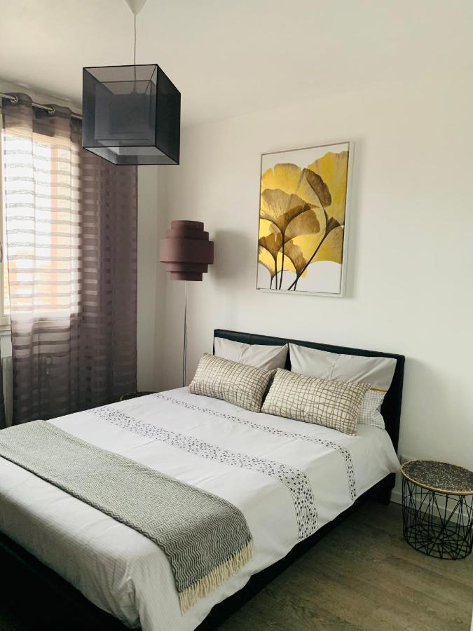 St Louis Appartement Roanne Exteriör bild